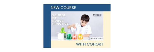 School of Brave Practice Cohort Open!