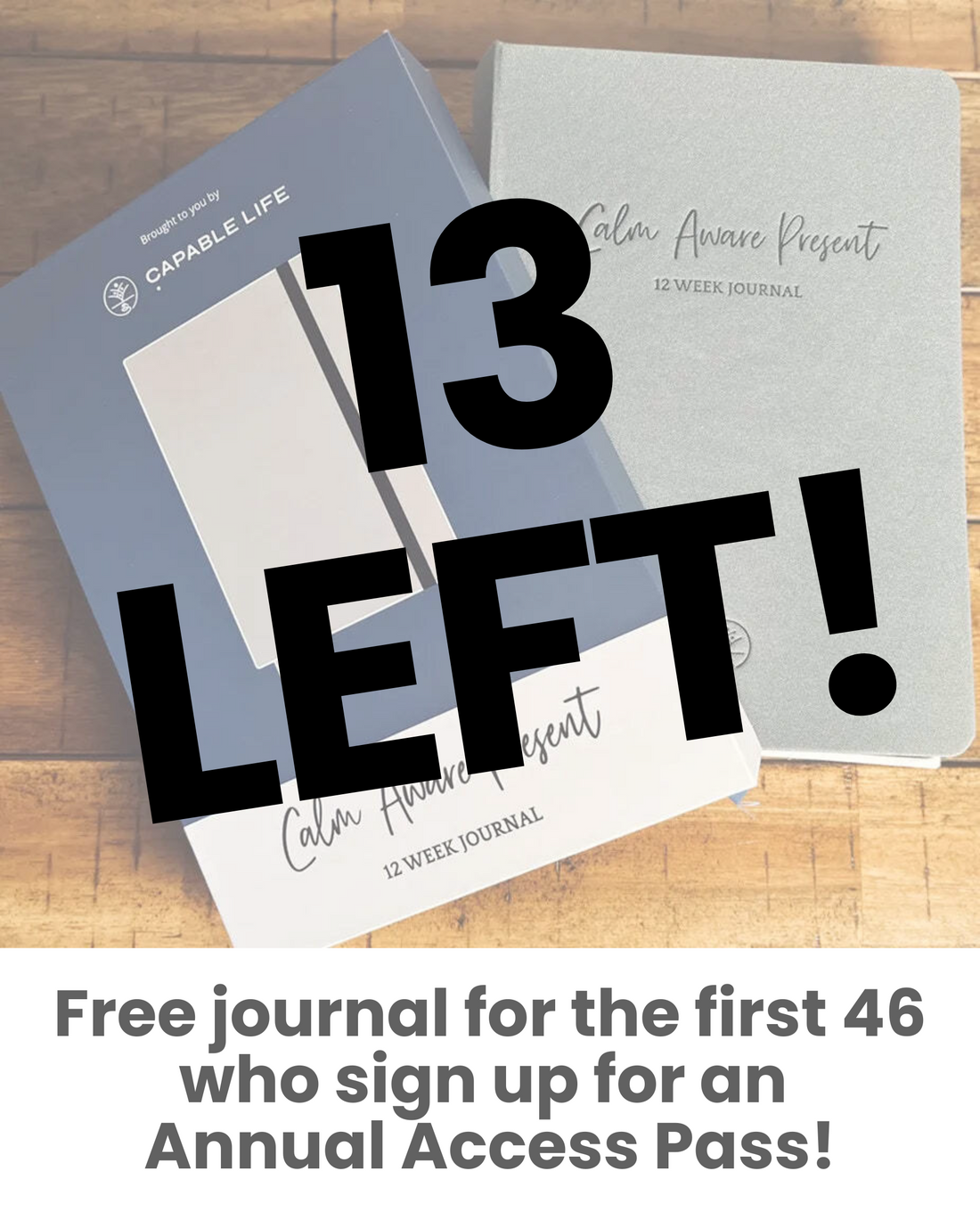 Free Journal, 13 left, Capable Life