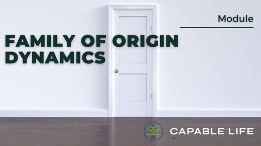 Family of Origin Dynamics