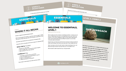 Level 1 Video Course + PDF Guide